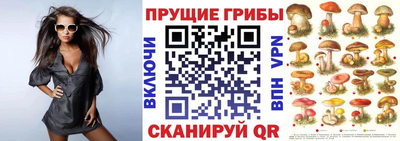 закладки  Сураж  Псилоцибиновые грибы прущие грибы 