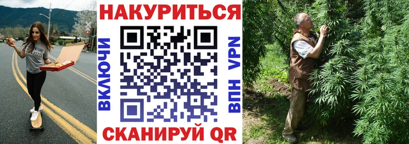 Конопля сатива  Сураж 